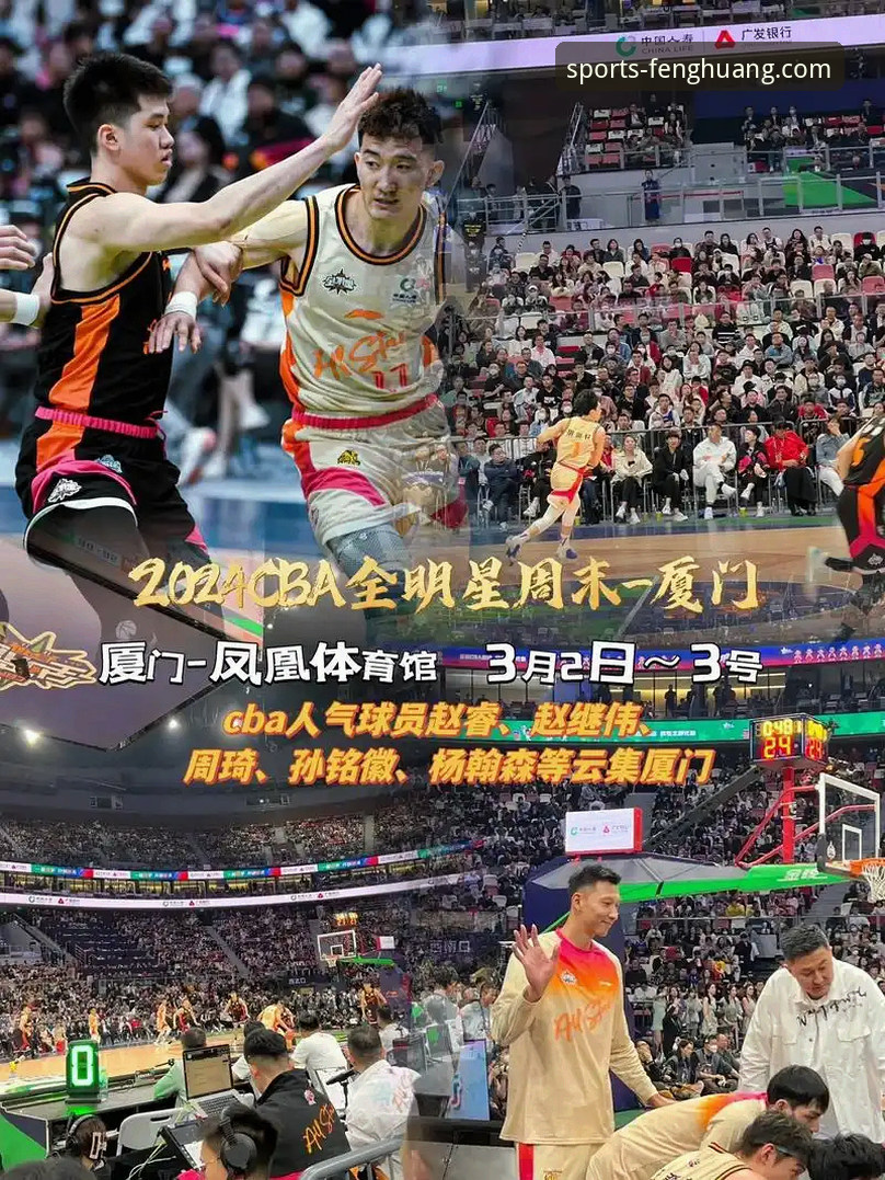 资深用户分享：凤凰体育服务内容使用指南的实战经验